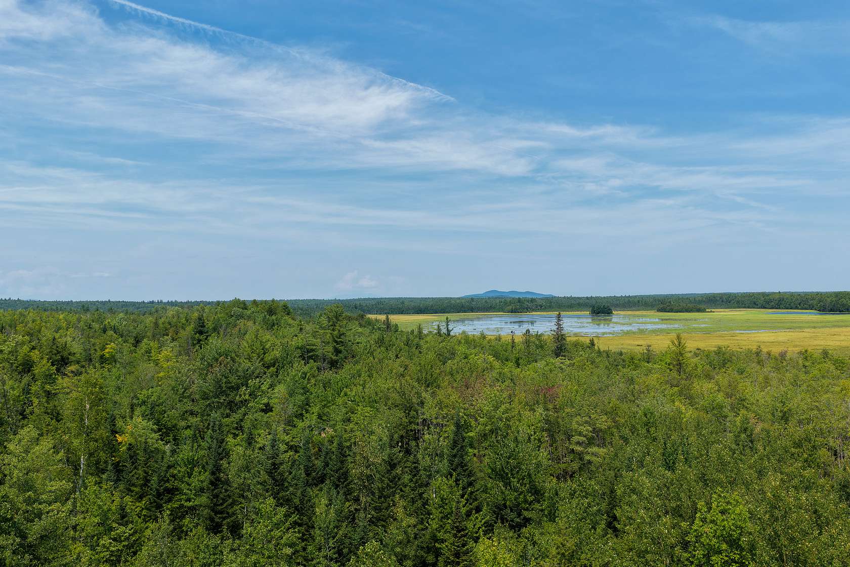 516 Acres of Land for Sale in Howland, Maine