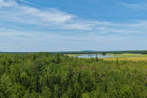 516 Acres of Land for Sale in Howland, Maine
