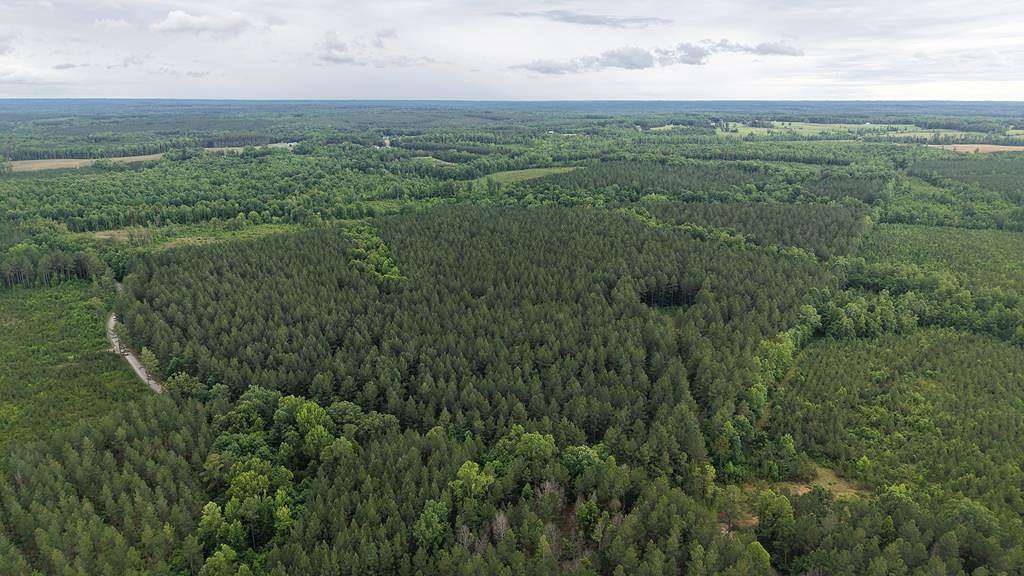 120 Acres of Land for Sale in Keysville, Virginia