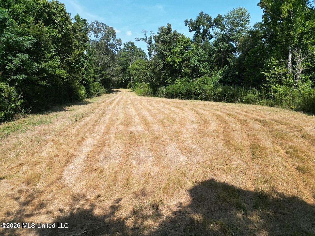 375 Acres of Land for Sale in Fayette, Mississippi