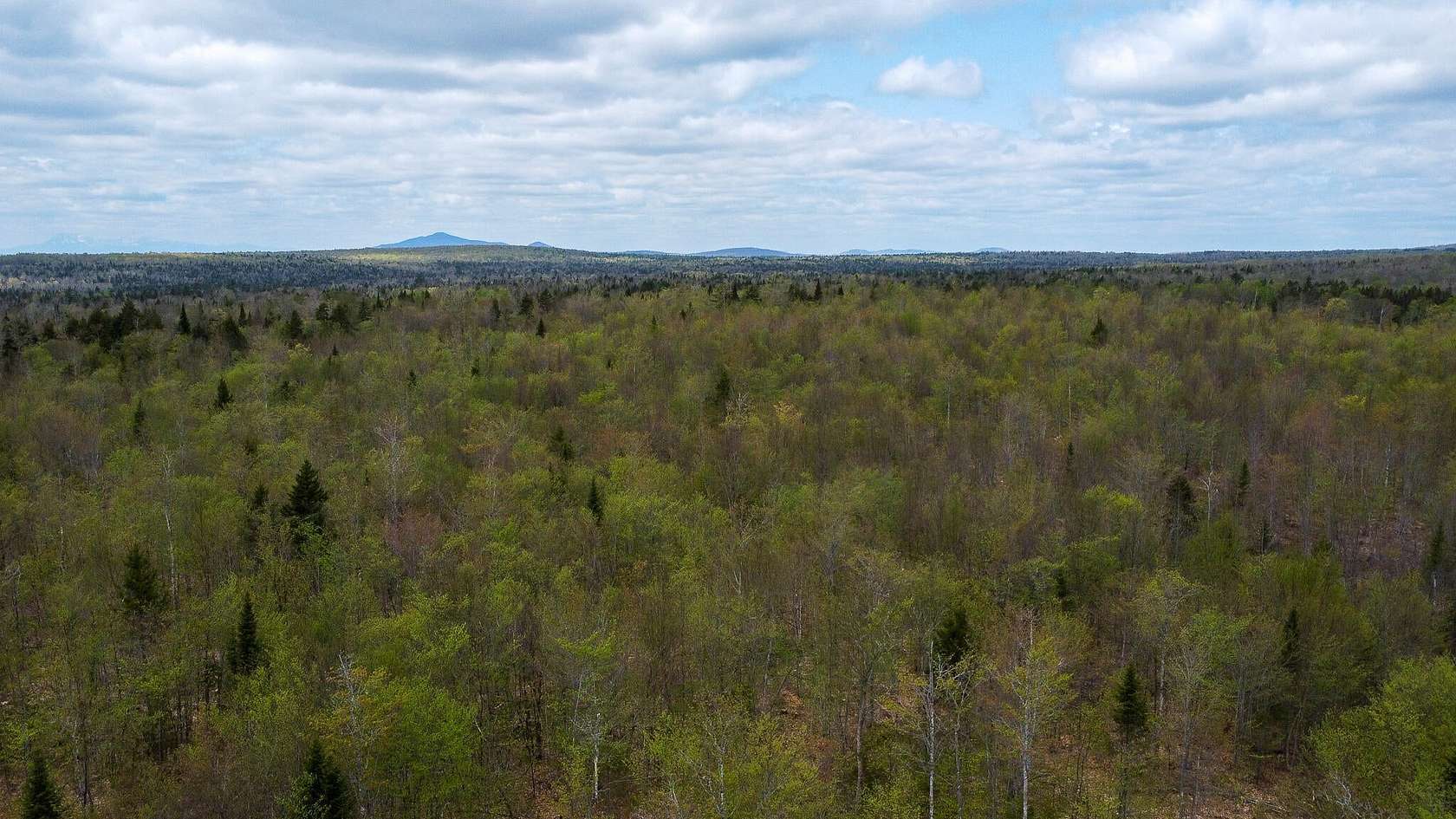 110 Acres of Land for Sale in Merrill Corner, Maine