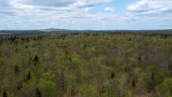 110 Acres of Land for Sale in Merrill Corner, Maine