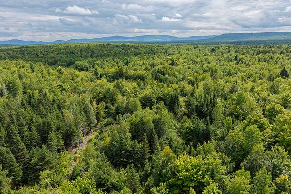 110 Acres of Land for Sale in Merrill Corner, Maine