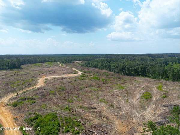 96.5 Acres of Land for Sale in Bogue Chitto, Mississippi