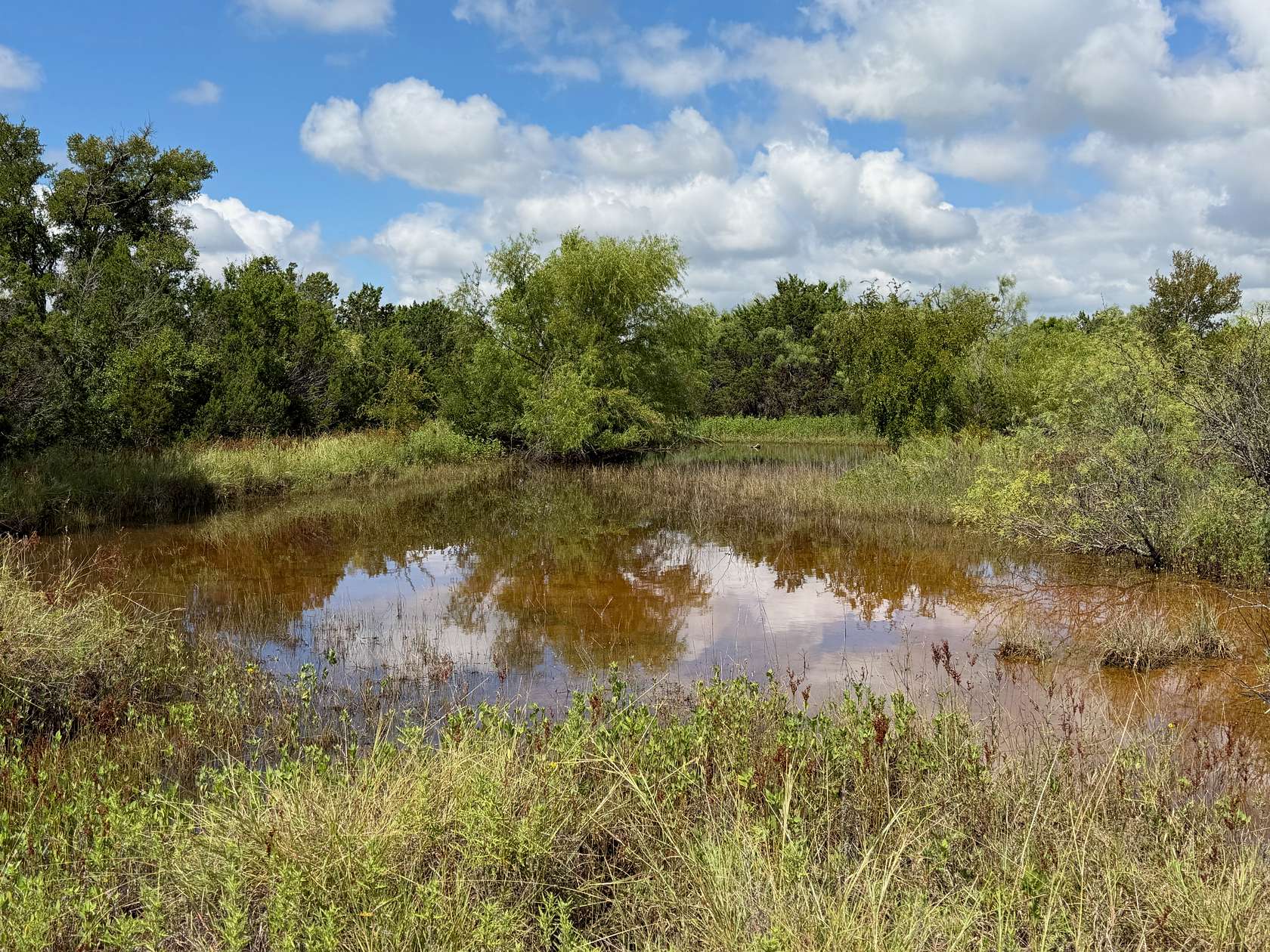 10.2 Acres of Land for Sale in Bangs, Texas