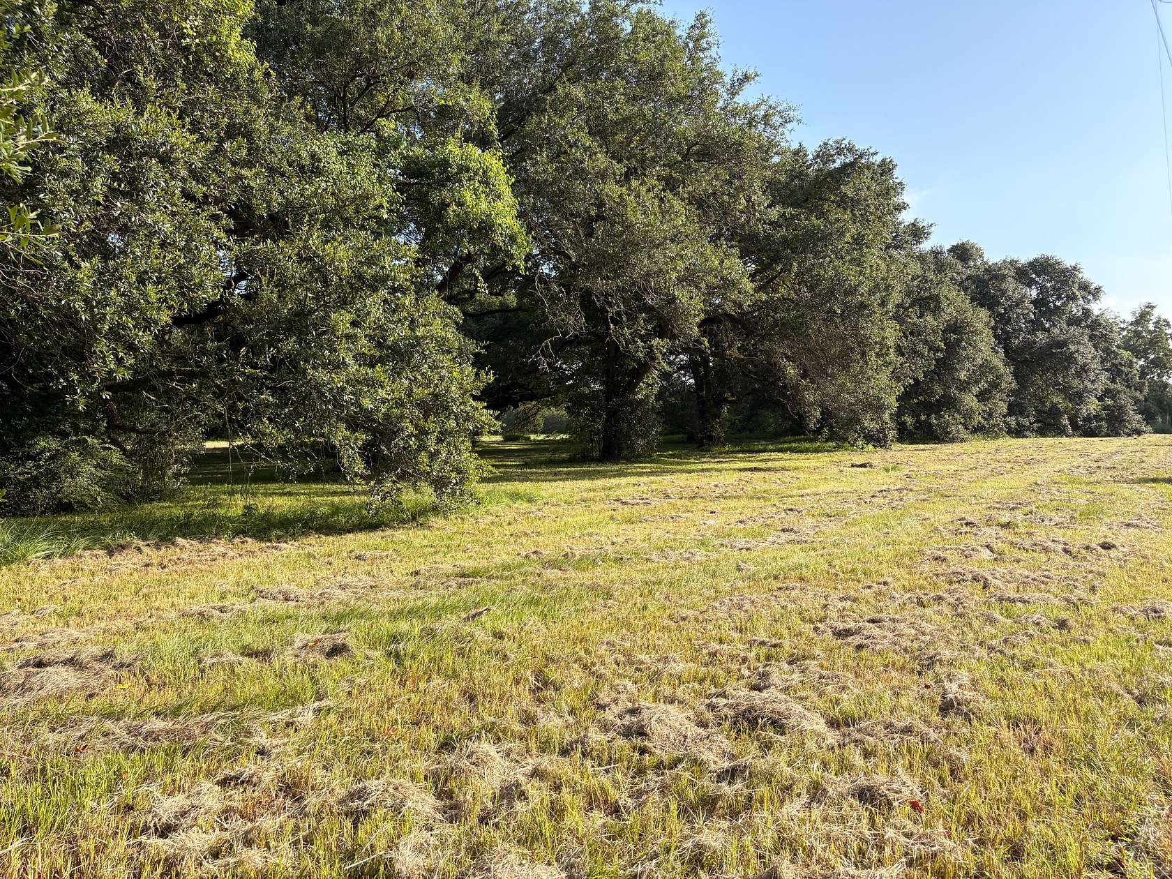 6.46 Acres of Land for Sale in Lafayette, Louisiana
