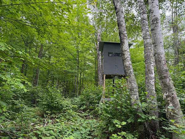 20 Acres of Land for Sale in Bruno, Minnesota