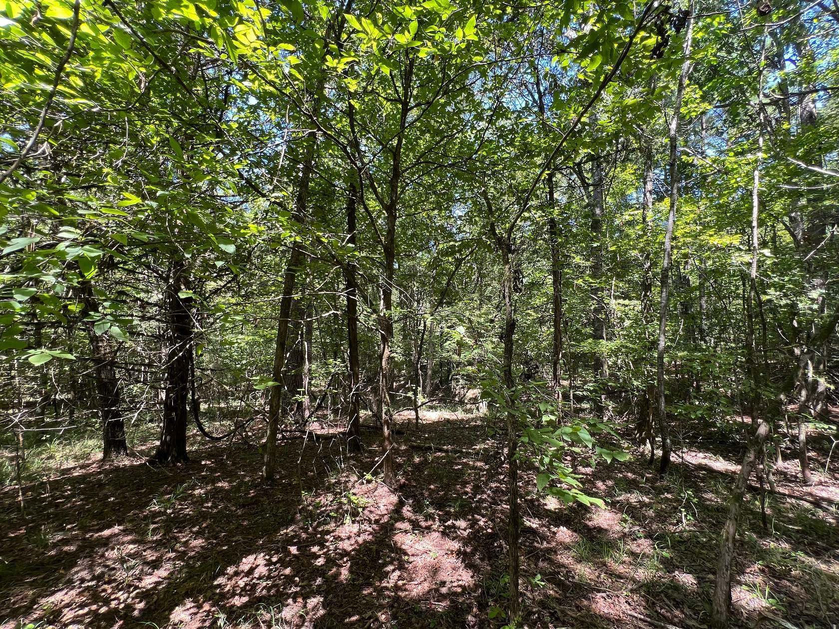 16.5 Acres of Land for Sale in Okolona, Arkansas