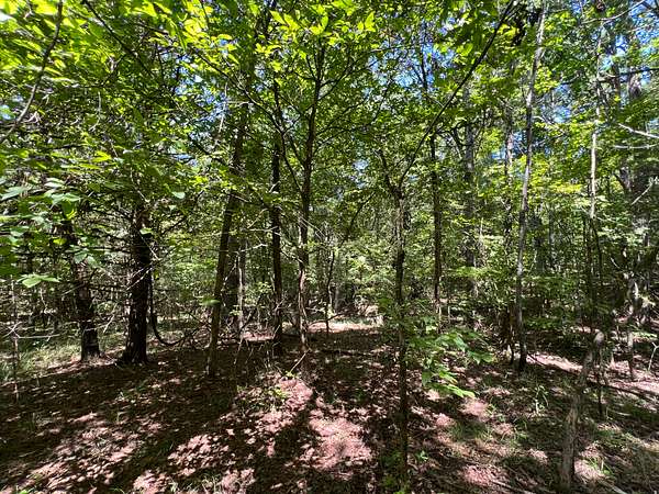 16.5 Acres of Land for Sale in Okolona, Arkansas
