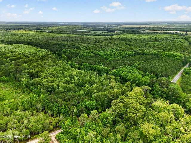 46.5 Acres of Land for Auction in Roper, North Carolina
