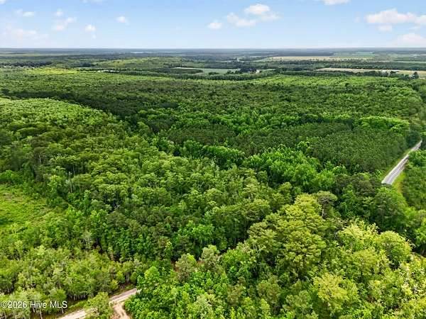 46.5 Acres of Land for Auction in Roper, North Carolina