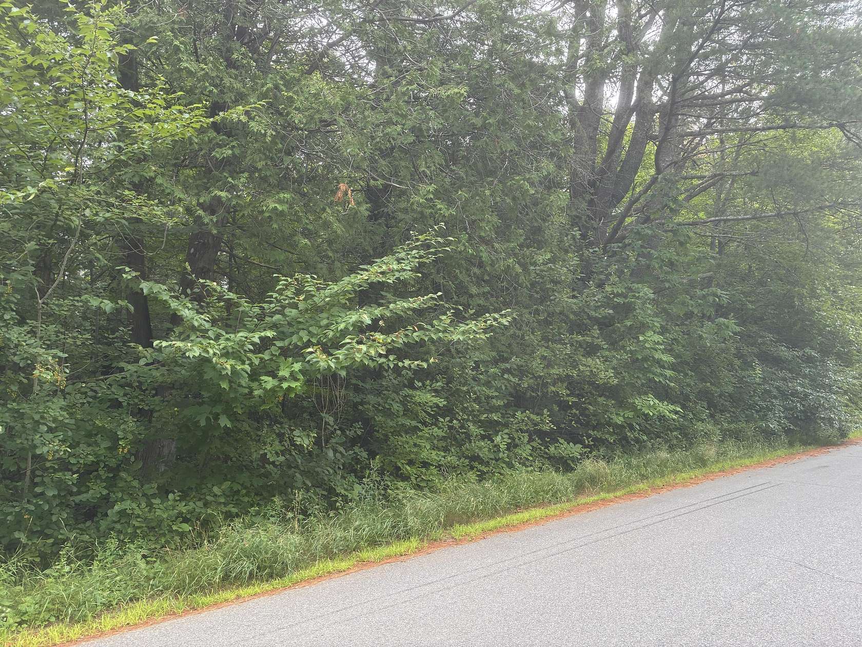 7 Acres of Residential Land for Sale in Calais, Maine