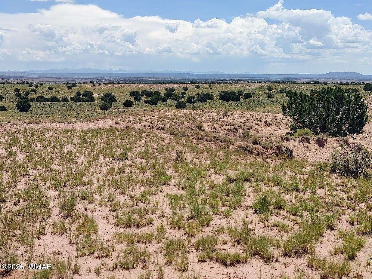 36.1 Acres of Recreational & Residential Land for Sale in Concho, Arizona