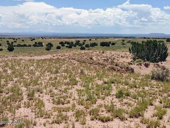 36.1 Acres of Recreational & Residential Land for Sale in Concho, Arizona