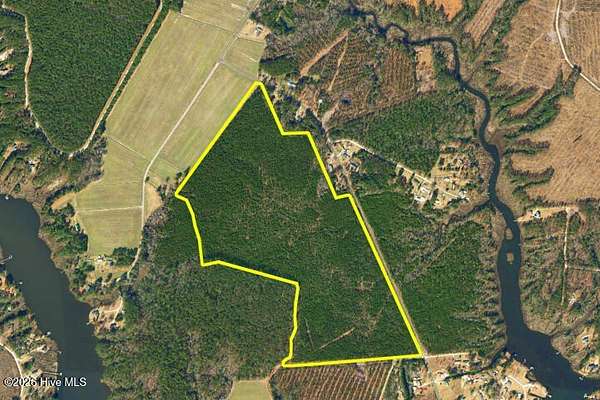 115 Acres of Land for Sale in Oriental, North Carolina
