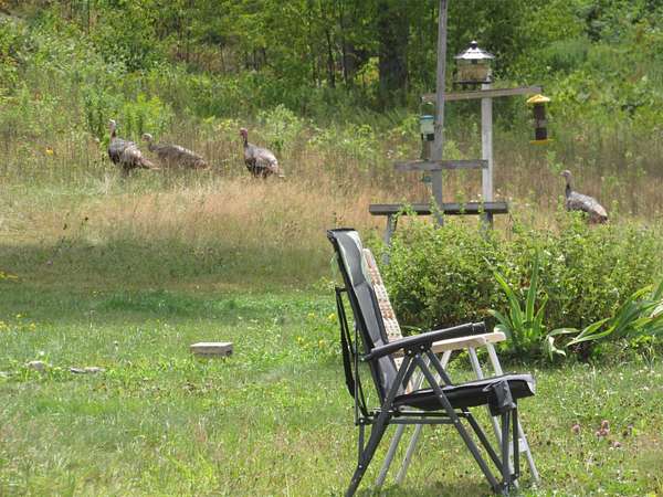 10 Acres of Land with Home for Sale in Coventry, Vermont