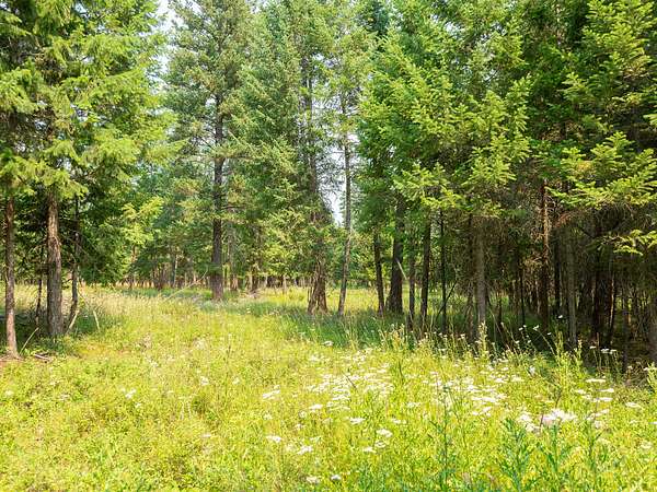 20 Acres of Land for Sale in Kalispell, Montana
