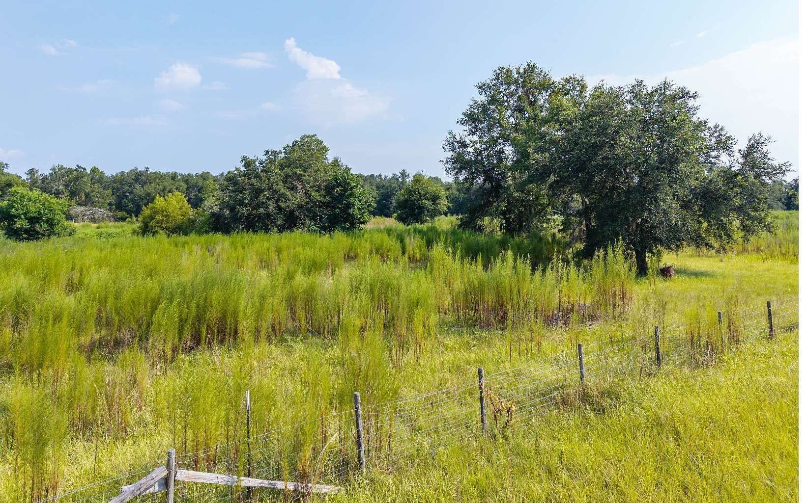 39.2 Acres of Land for Sale in Madison, Florida