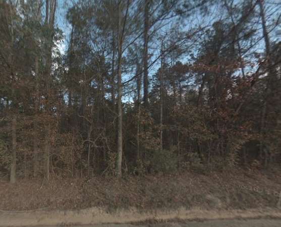 5.23 Acres of Agricultural Land for Sale in Sumter, South Carolina