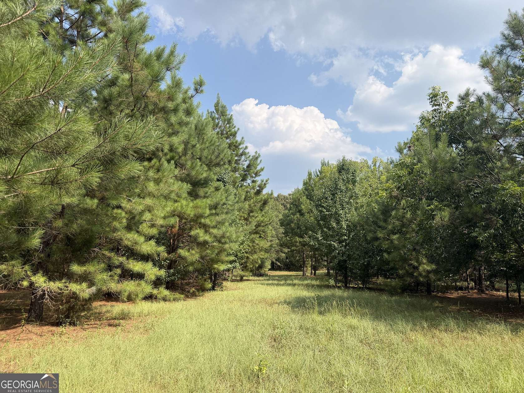 14 Acres of Land for Sale in Plains, Georgia