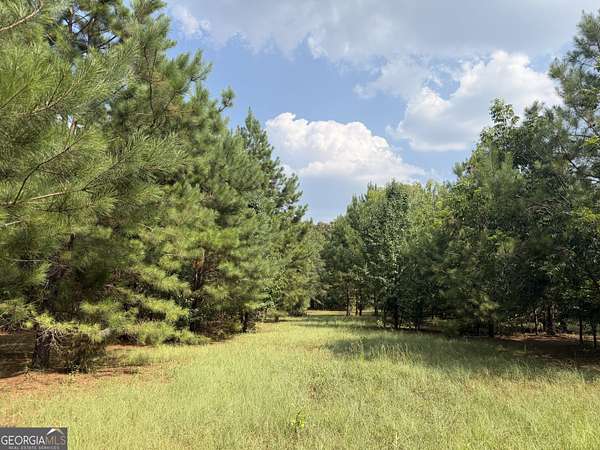 14 Acres of Land for Sale in Plains, Georgia