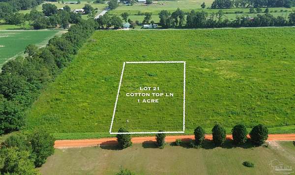 1 Acre of Residential Land for Sale in Milton, Florida