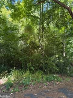 0.74 Acres of Residential Land for Sale in Newnan, Georgia