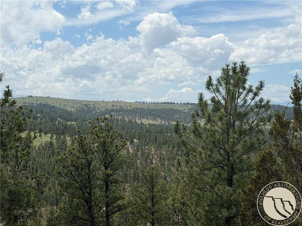 20 Acres of Land for Sale in Reed Point, Montana
