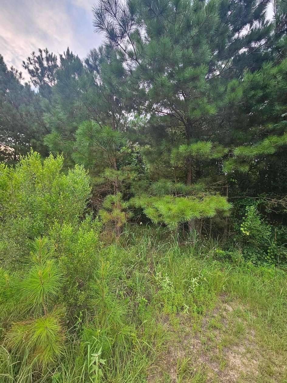 2.8 Acres of Land for Sale in Jasper, Alabama