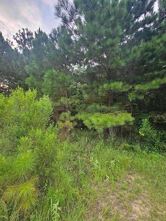2.8 Acres of Land for Sale in Jasper, Alabama
