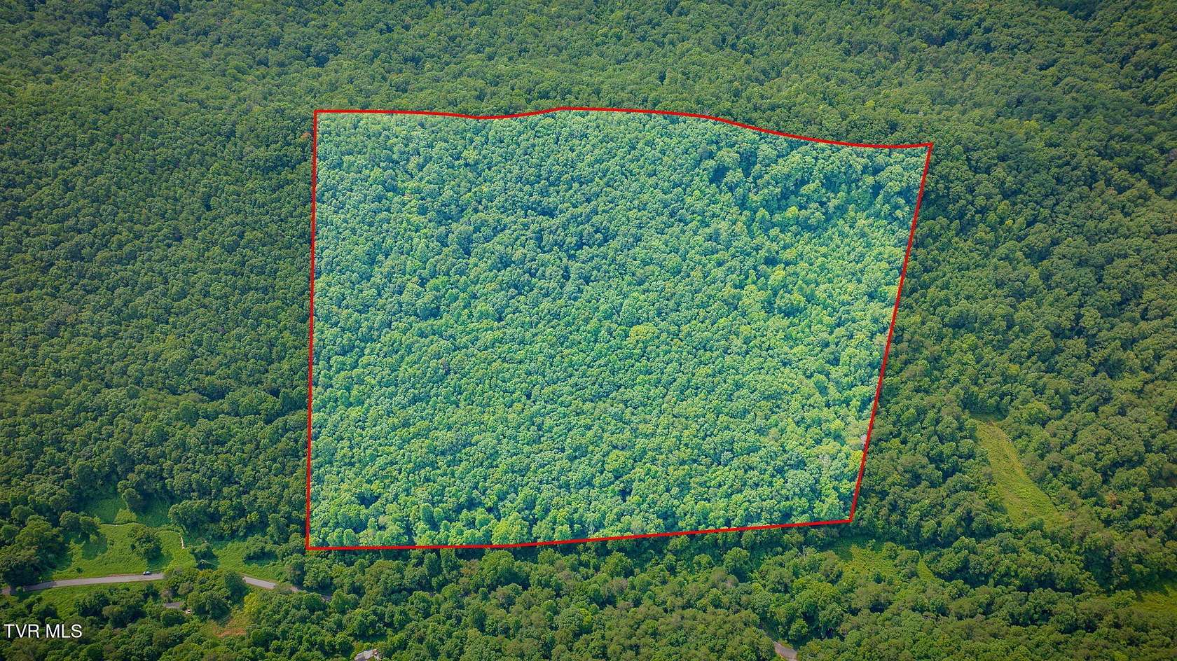29.2 Acres of Recreational & Residential Land for Sale in Bulls Gap, Tennessee