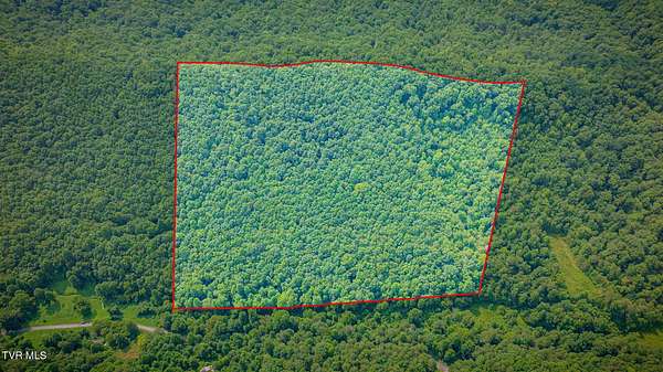 29.2 Acres of Recreational & Residential Land for Sale in Bulls Gap, Tennessee