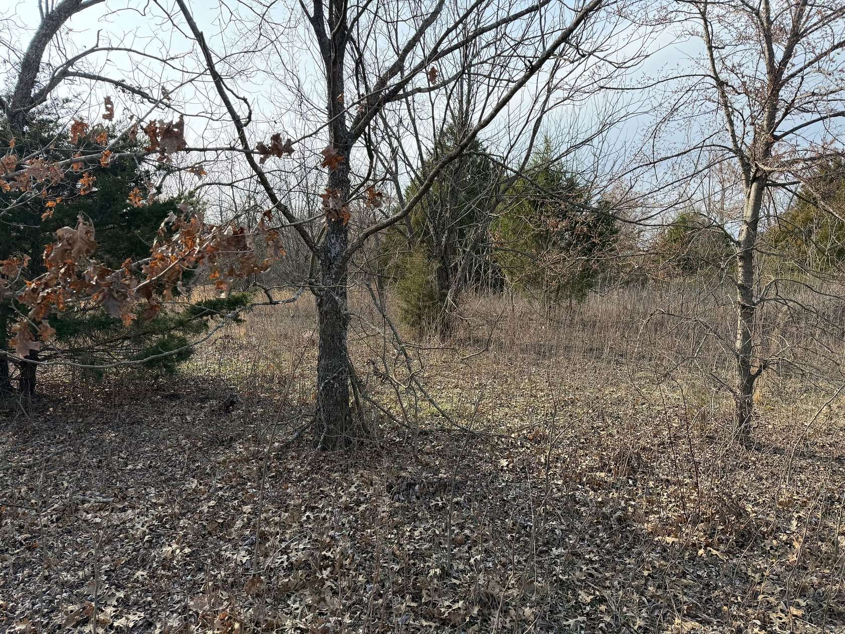 3.5 Acres of Commercial Land for Sale in Sherman, Texas