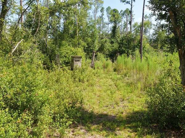 10 Acres of Recreational Land for Sale in Madison, Florida