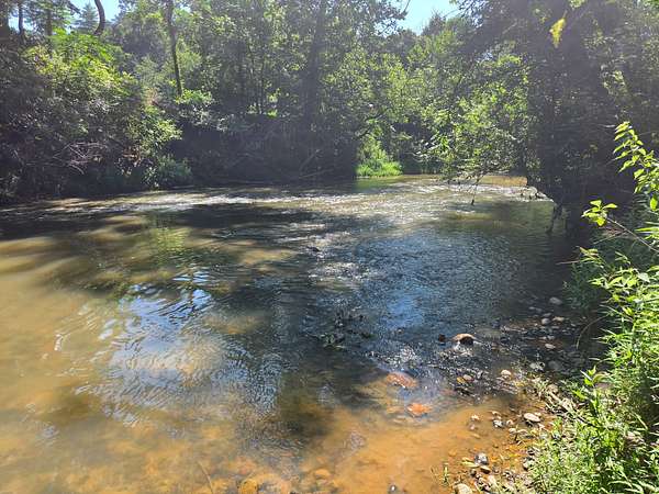 36.9 Acres of Recreational Land for Sale in North Wilkesboro, North Carolina