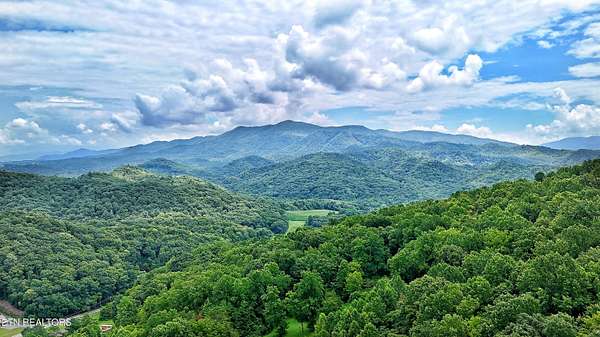 35.5 Acres of Land for Sale in Parrottsville, Tennessee