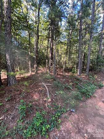 9.26 Acres of Residential Land for Sale in Smyrna, South Carolina