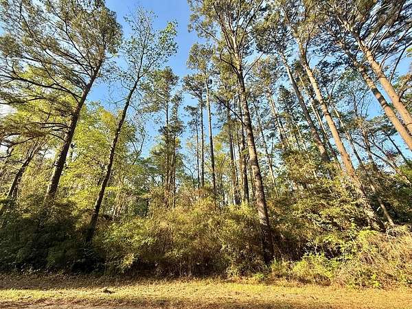 0.29 Acres of Residential Land for Sale in Hemphill, Texas