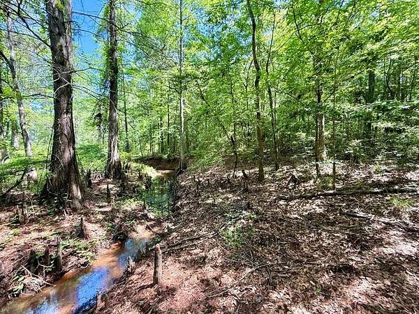 1.42 Acres of Residential Land for Sale in Hemphill, Texas