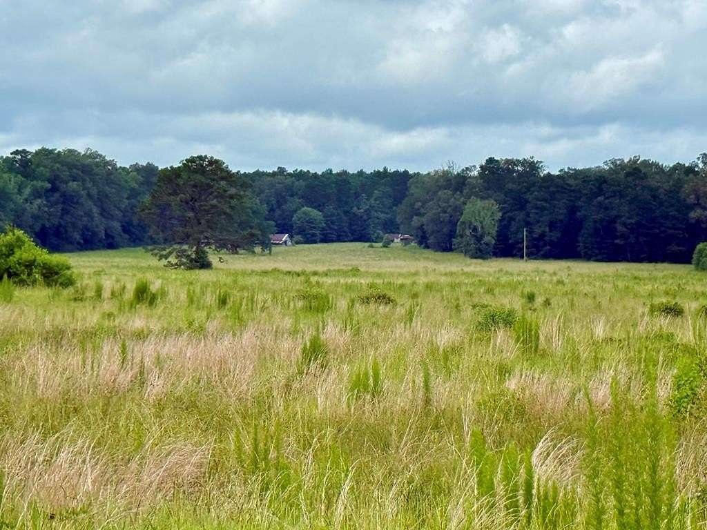 100 Acres of Recreational & Residential Land for Sale in Hemphill, Texas