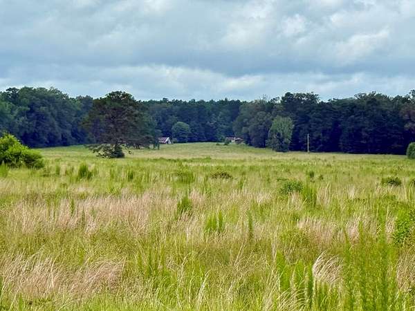 100 Acres of Recreational & Residential Land for Sale in Hemphill, Texas