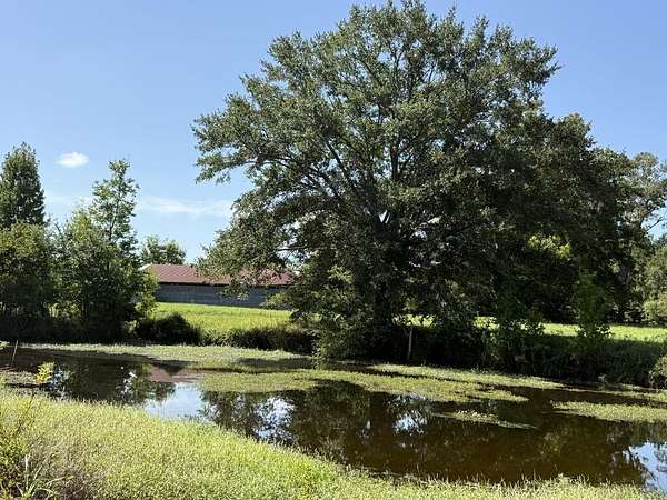 100 Acres of Recreational & Residential Land for Sale in Hemphill, Texas