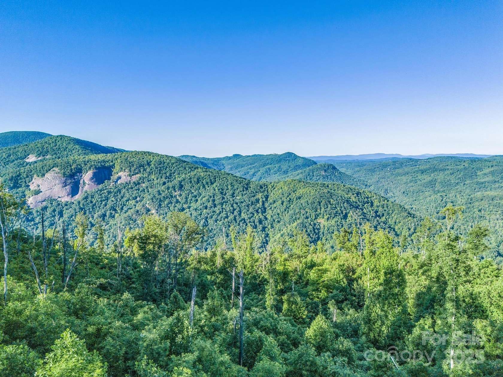5 Acres of Residential Land for Sale in Bat Cave, North Carolina