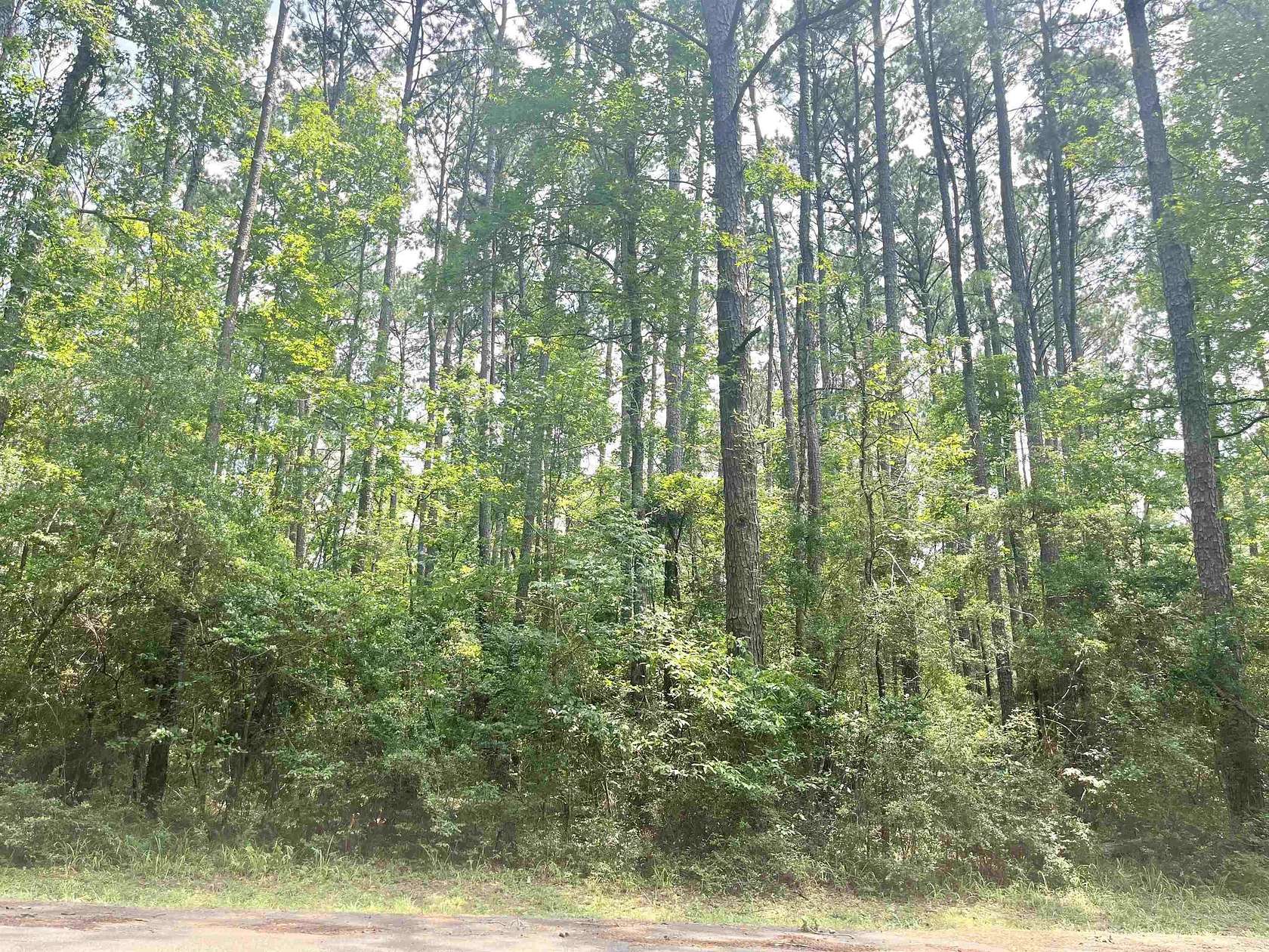 0.27 Acres of Residential Land for Sale in Hemphill, Texas