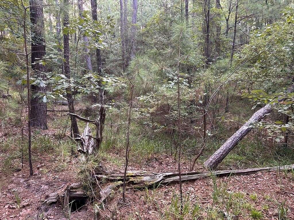 0.25 Acres of Residential Land for Sale in Brookeland, Texas