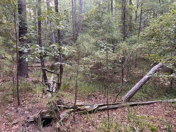 0.25 Acres of Residential Land for Sale in Brookeland, Texas