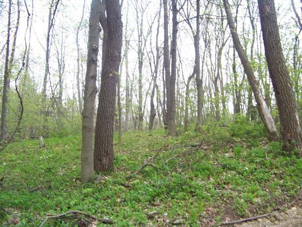 0.23 Acres of Land for Sale in Coloma, Michigan