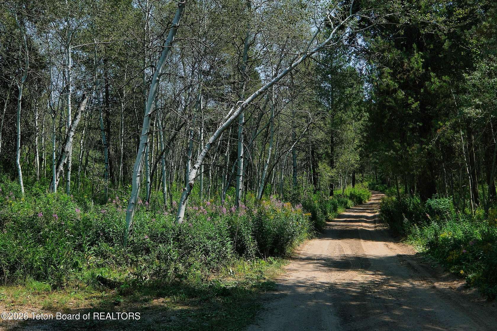 5 Acres of Residential Land for Sale in Tetonia, Idaho