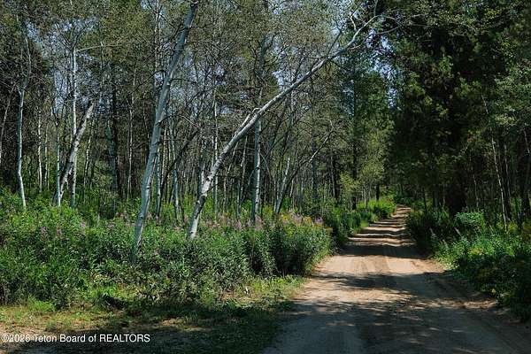 5 Acres of Residential Land for Sale in Tetonia, Idaho