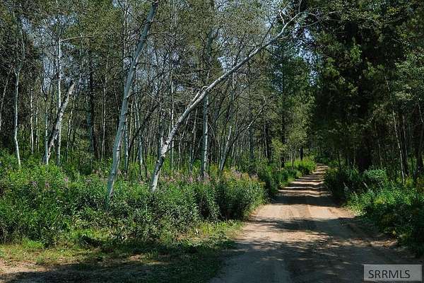 5 Acres of Residential Land for Sale in Tetonia, Idaho